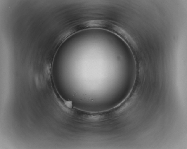 X0000113351233200909151147