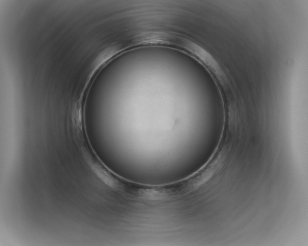 X0000113351234200909151147
