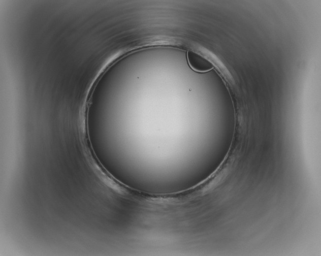 X0000113351236200909151147