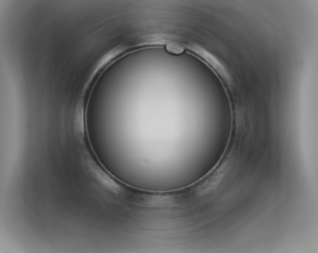 X0000113351238200909151147