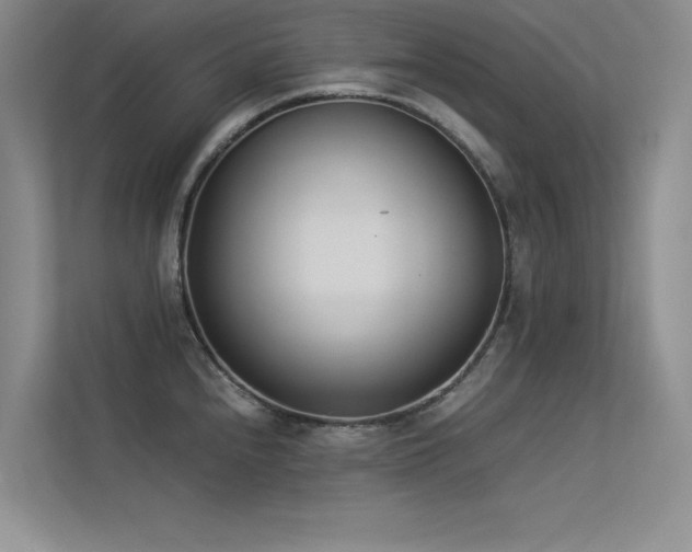 X0000113351240200909151147