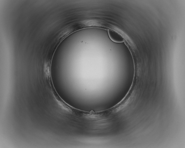 X0000113351241200909151147