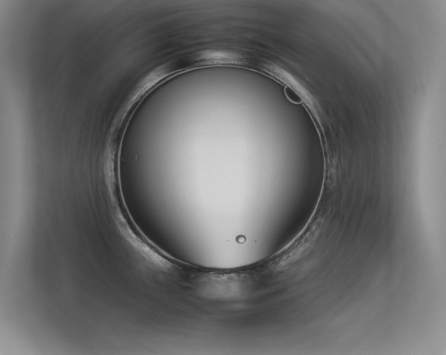 X0000113351243200909151147