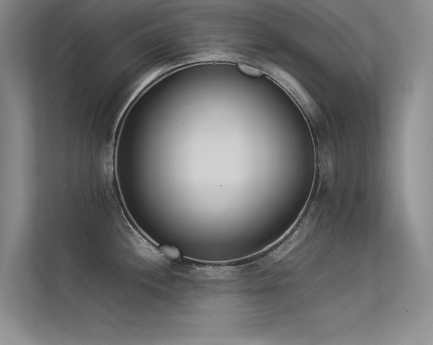 X0000113351244200909151147