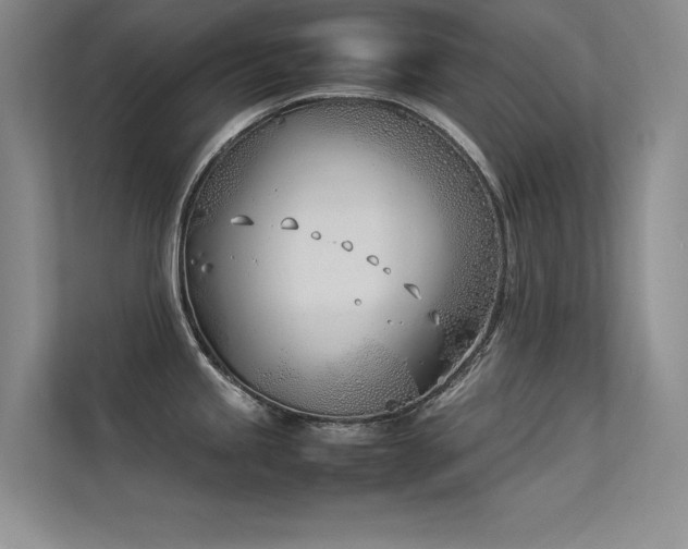 X0000113351245200909151147