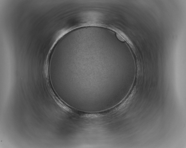 X0000113351246200909151147