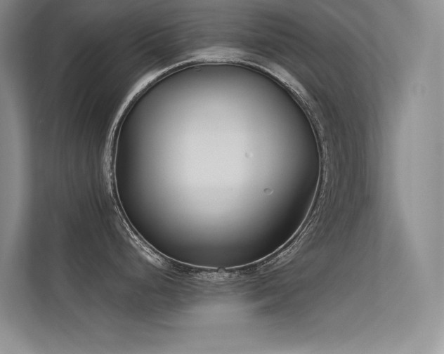X0000113351248200909151147
