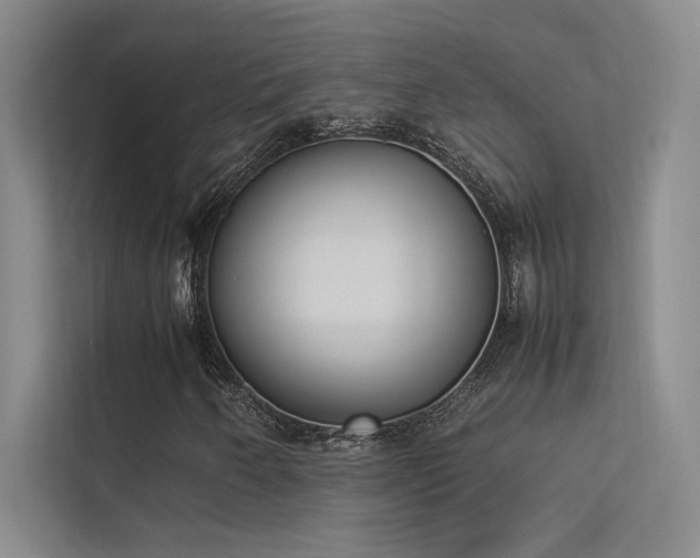 X0000113351250200909151146