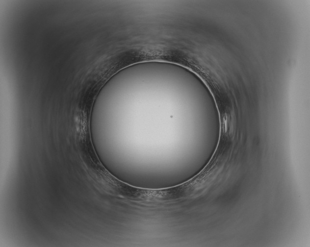 X0000113351251200909151146