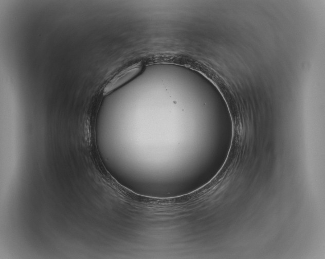 X0000113351252200909151146