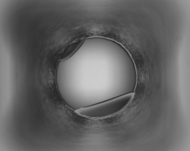 X0000113351253200909151146