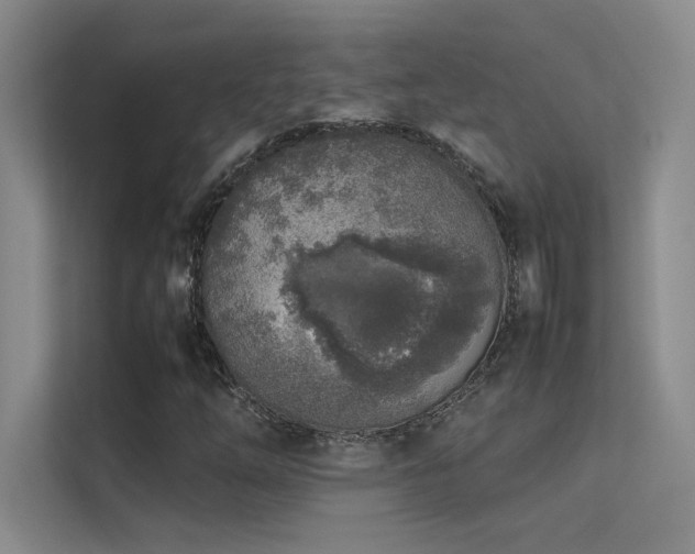 X0000113351254200909151146