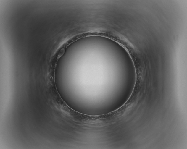 X0000113351256200909151146