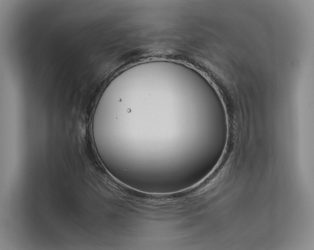 X0000113351257200909151146
