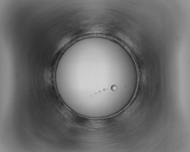 X0000113351258200909151146