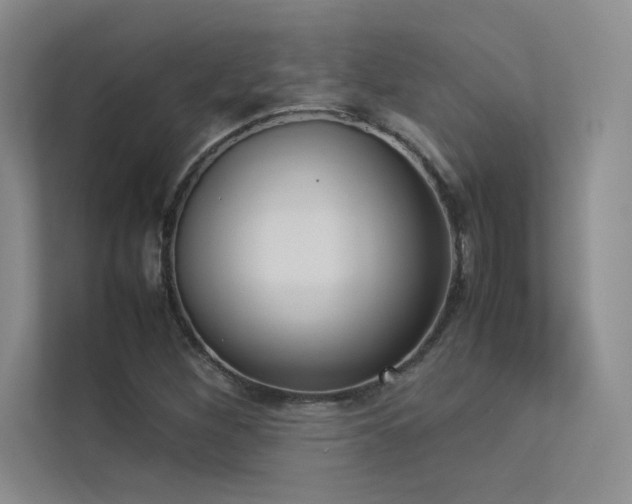 X0000113351260200909151146