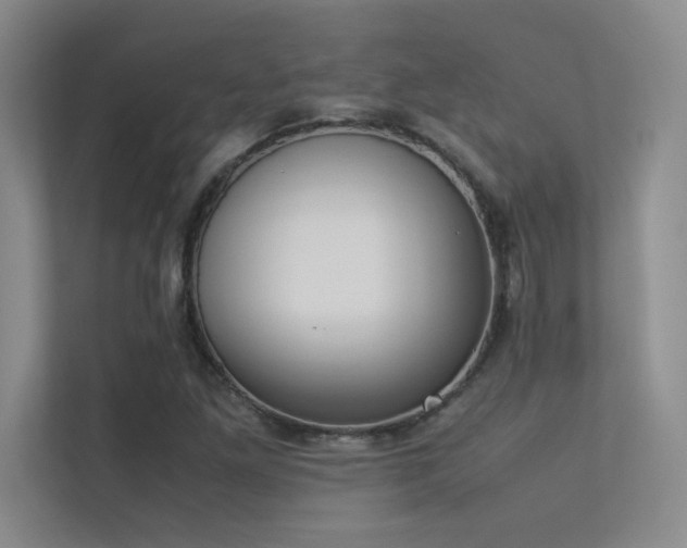 X0000113351261200909151146