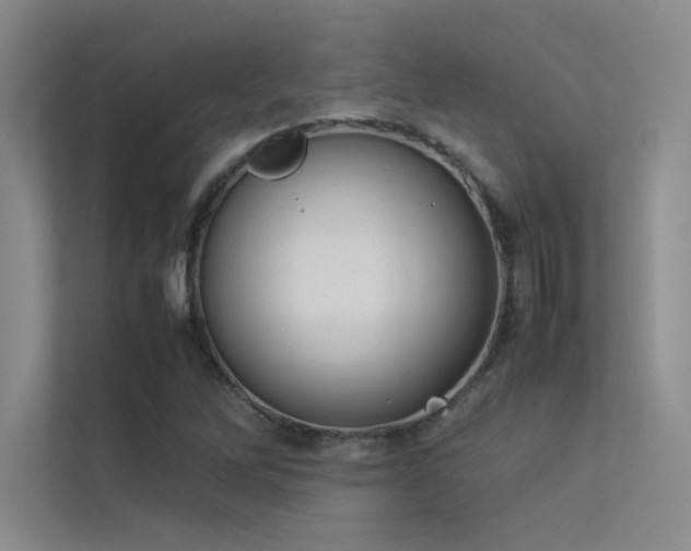 X0000113351262200909151146