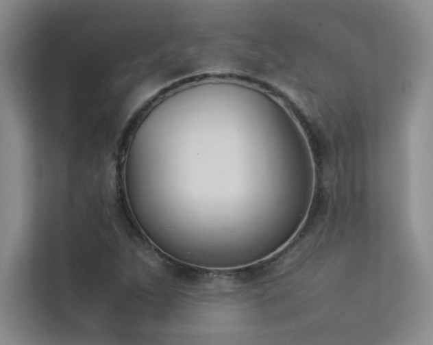 X0000113351263200909151146