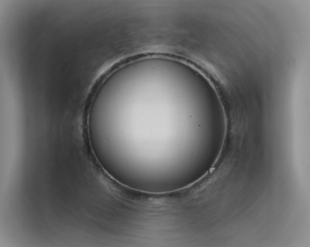 X0000113351264200909151146