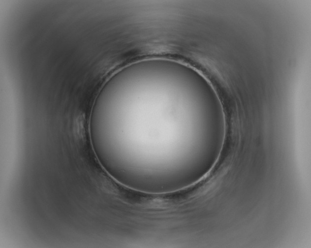 X0000113351265200909151146