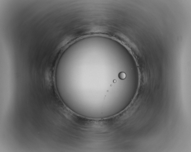 X0000113351266200909151146