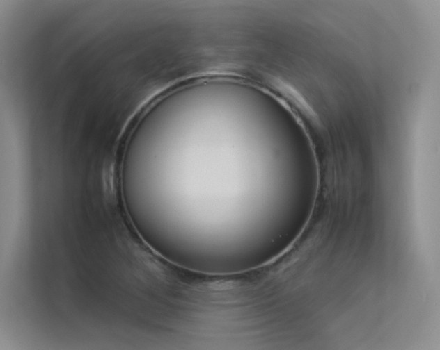 X0000113351268200909151146
