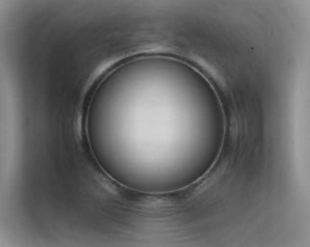 X0000113351270200909151146