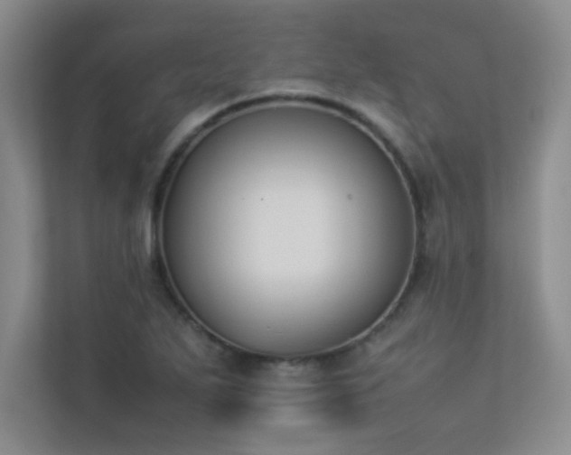 X0000113351271200909151146