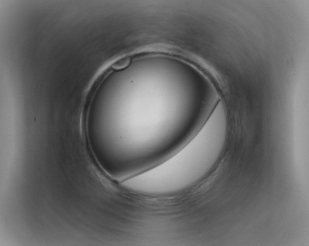 X0000113351272200909151146
