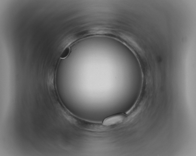 X0000113351273200909151146