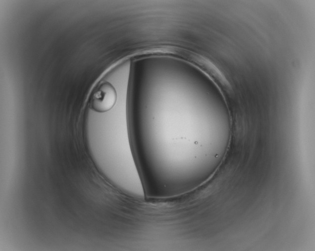 X0000113351276200909151146