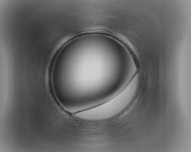 X0000113351277200909151146