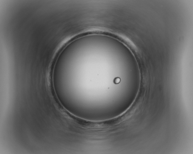 X0000113351279200909151146