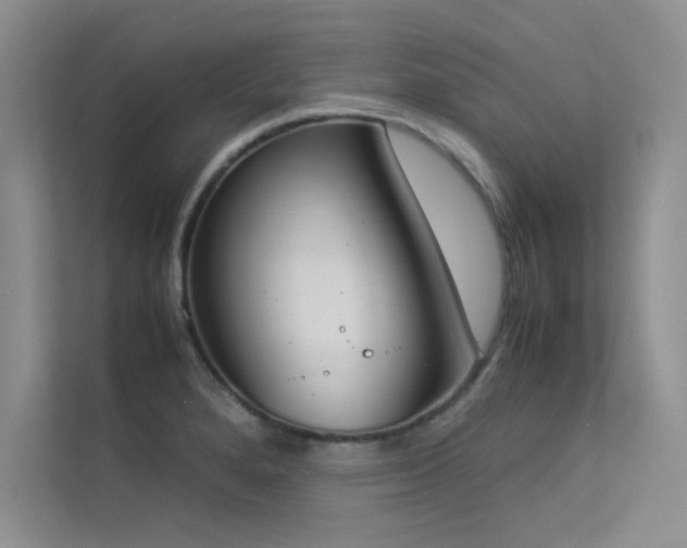 X0000113351280200909151146