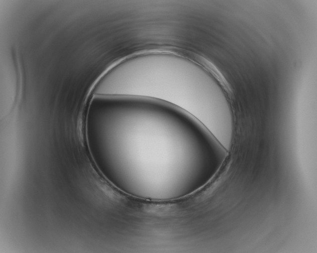 X0000113351284200909151146