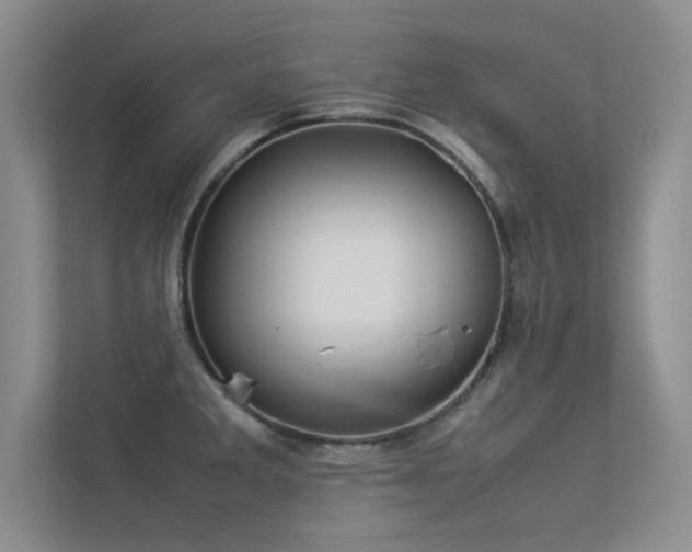 X0000113351285200909151146