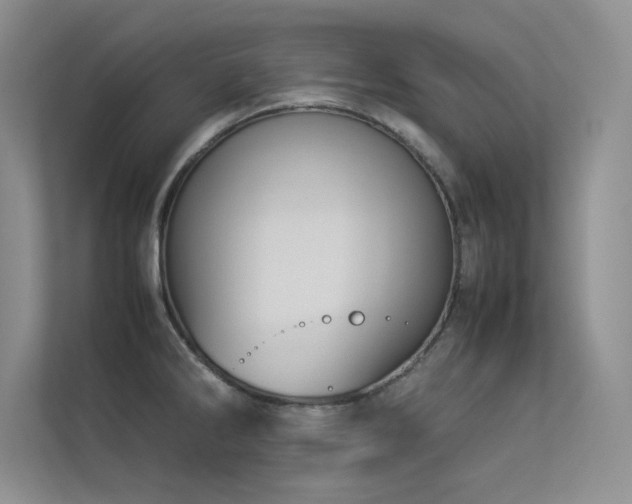 X0000113351286200909151146