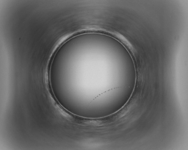 X0000113351287200909151146
