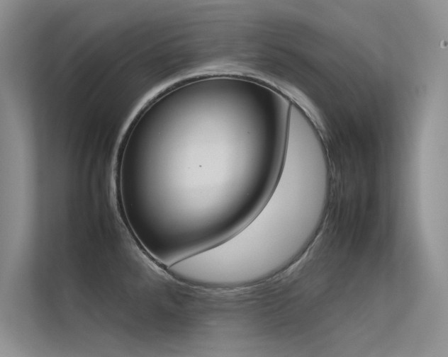 X0000113351288200909151146