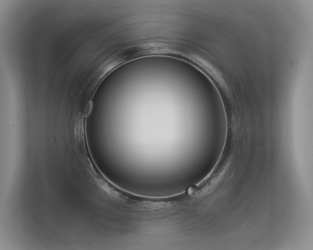 X0000113351289200909151146