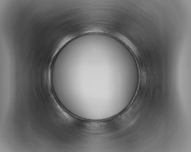 X0000113351290200909151146