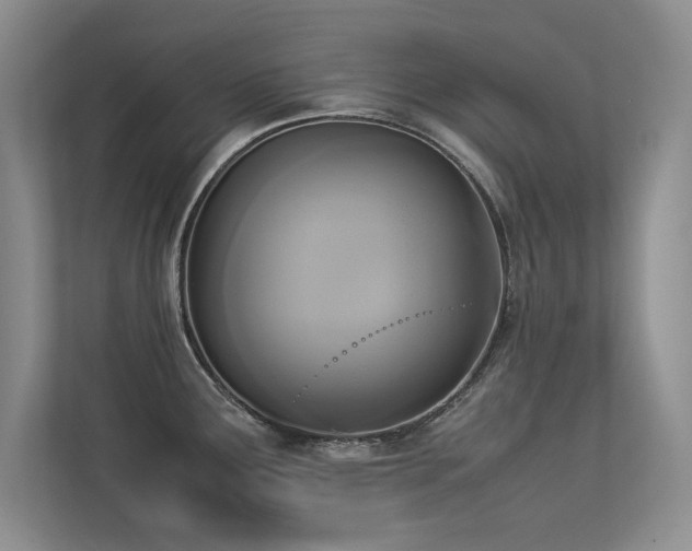 X0000113351291200909151146