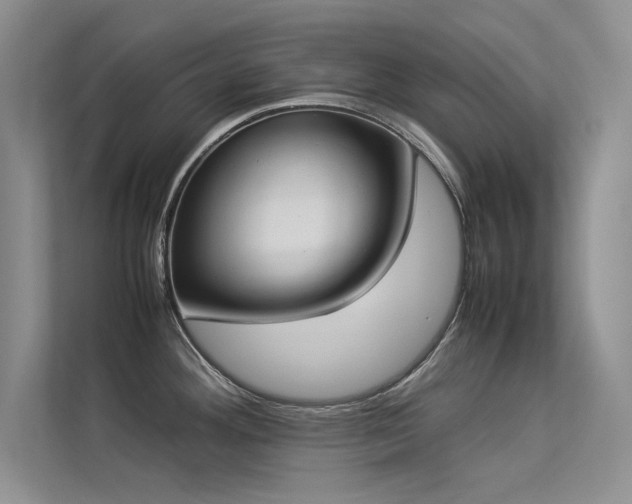X0000113351292200909151146