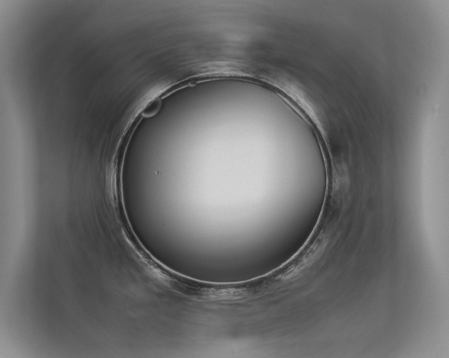 X0000113351293200909151146