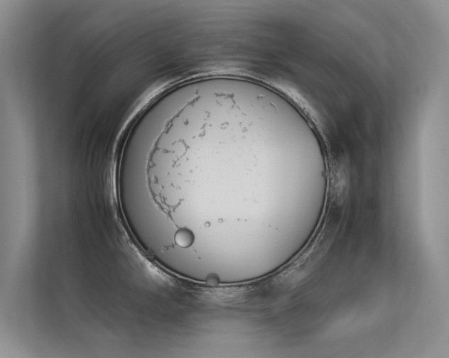 X0000113351294200909151146