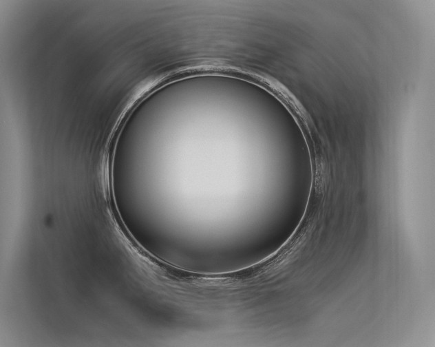 X0000113351295200909151146