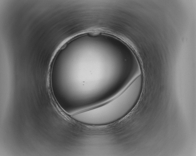 X0000113351296200909151146