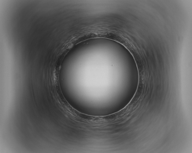 X0000113351298200909151145