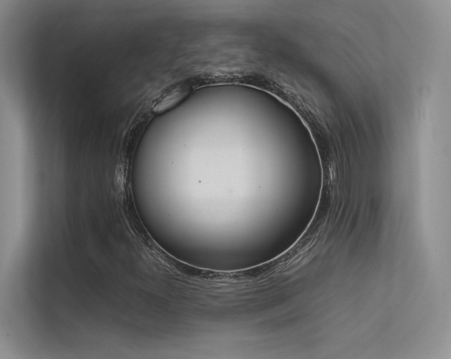 X0000113351300200909151145